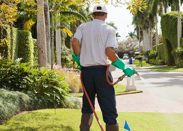 About Montrose AR Pest Control Pros